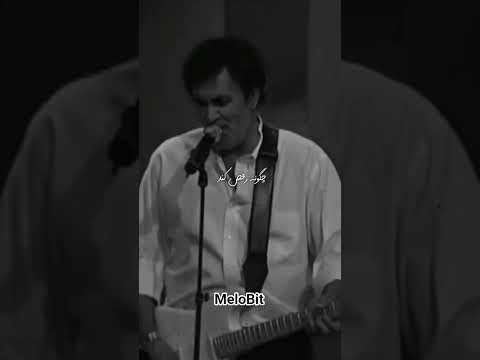 حمایت های شما باعث دل گرمی ماست حبیب مینوازد به شب نشینی خرچنگ های مردابی اهنگ حبیب آهنگ قدیمی