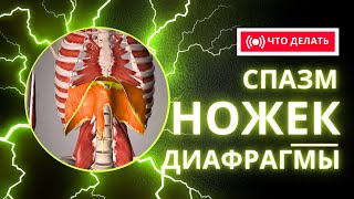 Спазм ножек диафрагмы. Скрутка тела. Расслабление диафрагмы.