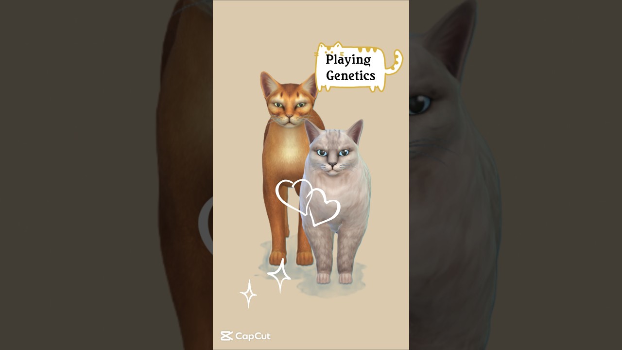 Playing with Genetics 🧬😺 |Part 9 