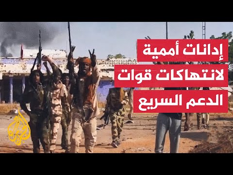 مجلس حقوق الإنسان يدين التدخلات الأجنبة في السودان ويطالب بإجراء تحقيق بانتهاكات الفاشر