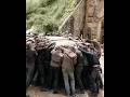 Copy of Discover Films- Daryl's MERCY KILL Shocks Carol | The Fall of Pouvoir &amp; ASH's Fate Revealed!