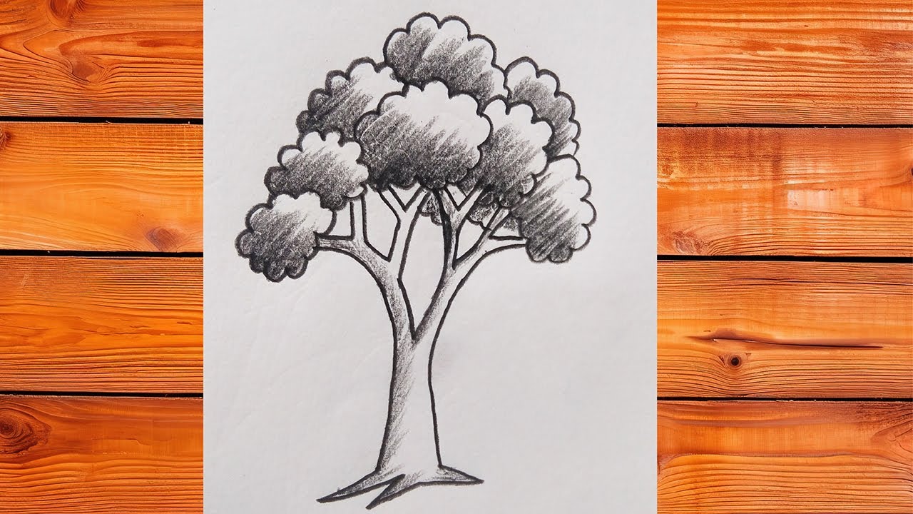 Tree drawing tutorial easy way #treeart #treedrawing #drawingtechniques ...