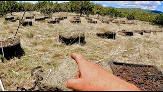 Getting My Topsoil From An Illegal Grow Operation