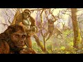 The First Hominins