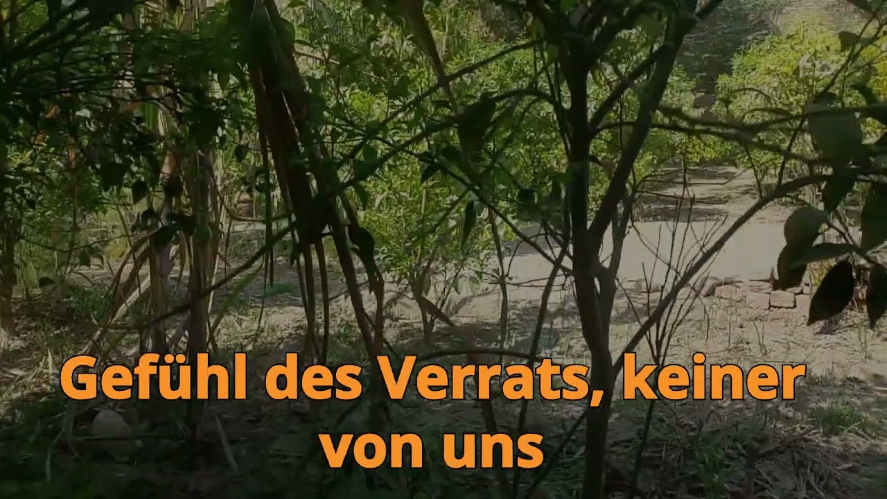 Auf der Party lächelte ich meinen Mann an: Keine Sorge – er will nur reden