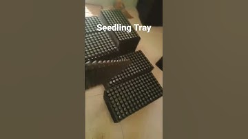 Seedling Tray, Seed Germination Plant Flower  https://c.lazada.com.ph/t/c.Yq4A3q