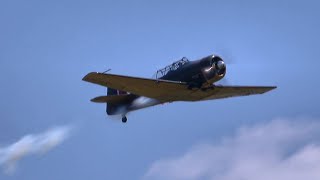 Harvard T6 Texan ~ The Warbird Trainer with radial Engine Sound