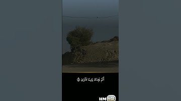 سورة الضحى بصوت الشيخ محمد الجابري الحياني رحمه الله تعالى
