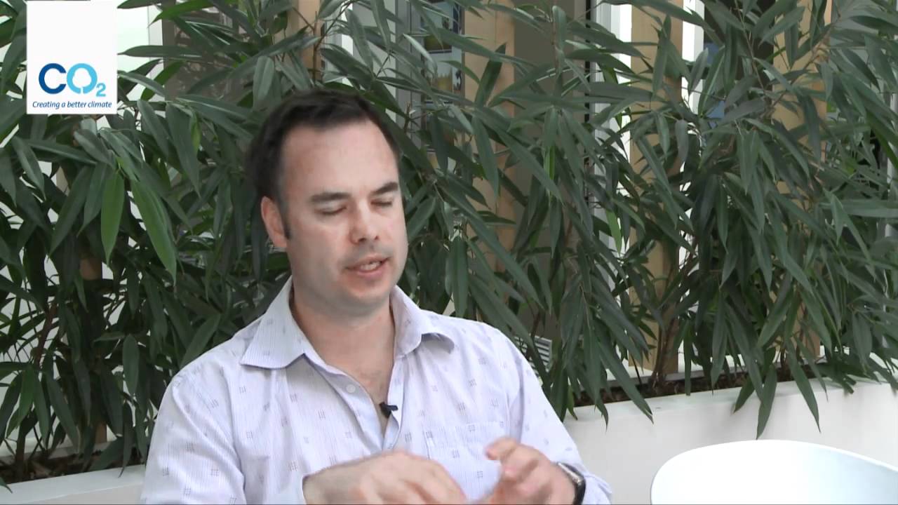 What happens to existing trees within a CO2 Australia planting?