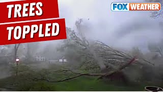 Doorbell Cam Captures Entire Yard Of Trees Toppled In Portage, Michigan, Tornado