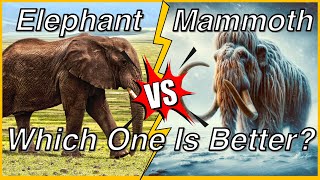 Elephant vs Mammoth: Which One is Better? | Similarities and Differences #elephant #mammoth #animal