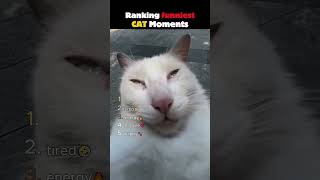 Ranking funniest CATs😸pt18 #funny #cats #cute #viral #shorts