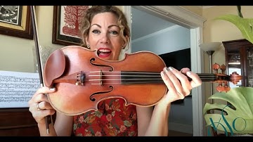 VSO Music Learning Lab – Virtual Petting Zoo: Violin
