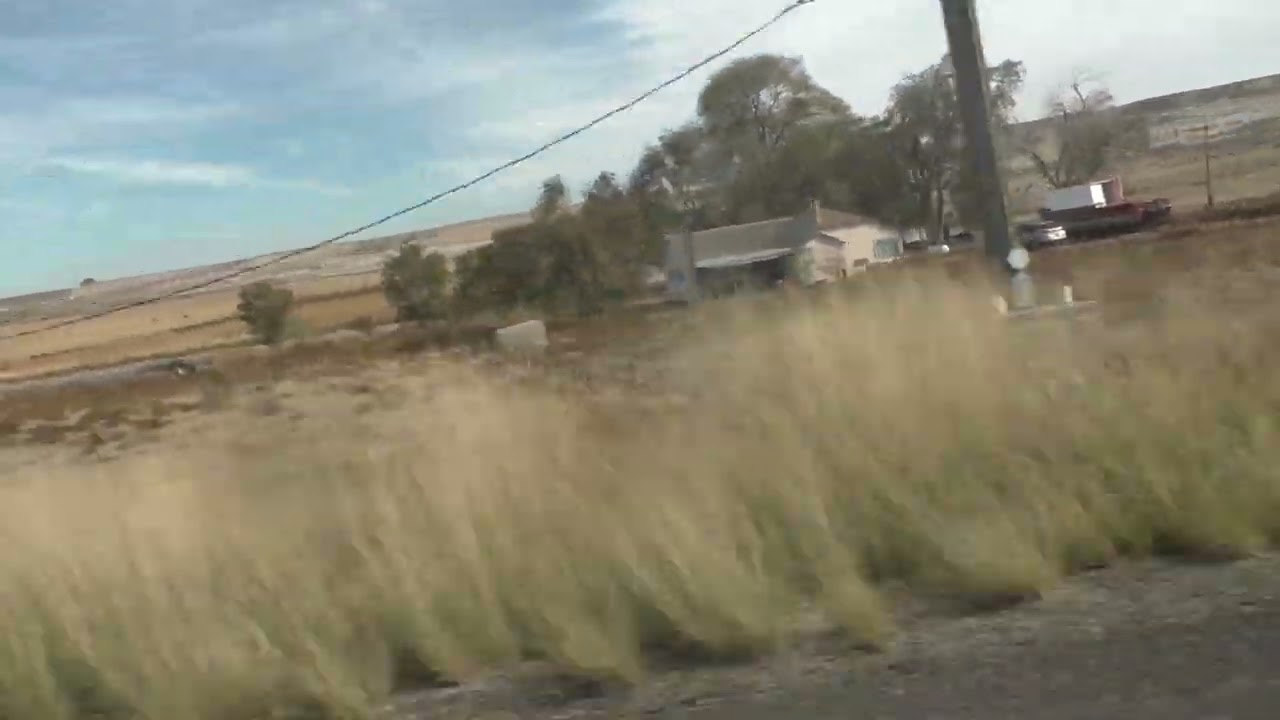 Yellow house with taxi truck, and shrubs growing in the field