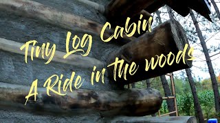 Building a Butt and Pass Log Cabin - Why we chose to harvest logs from our land/ Ride in the woods