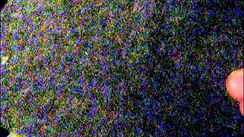 Alienware M11X (R2) & Alienware M11x (R3) Side by Side