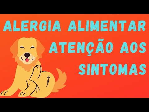 Vídeo: Os 11 alérgenos alimentares mais comuns para cães