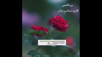تلاوة محبرة لأواخر سورة القصص  القارئ عبدالبديع غيلان
