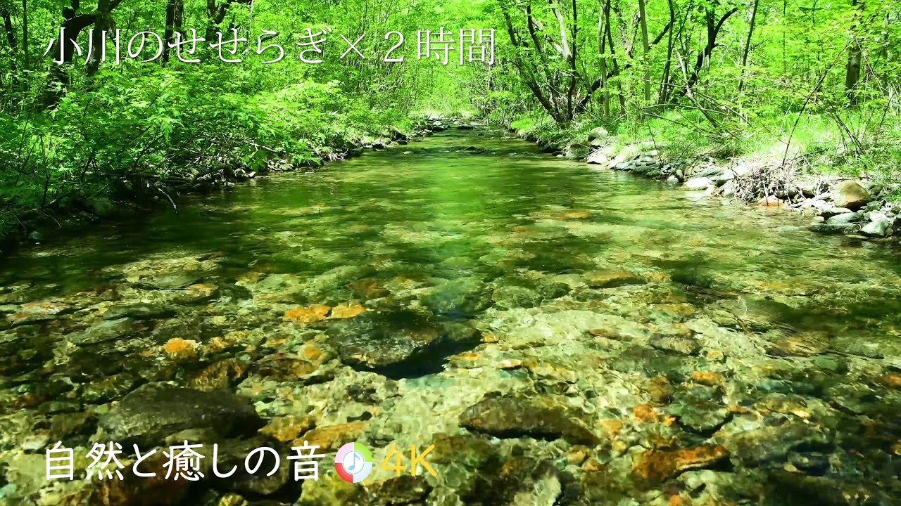 【自然の音】新緑の森林と小川のせせらぎ、癒し、睡眠、リラックス、作業用BGM/River Sound/Nature Sounds ...