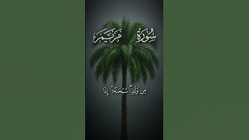 ايات من سورة مريم || الشيخ ياسر الدوسري