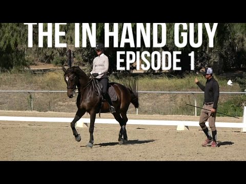 How to develop a quicker hind leg (THE IN HAND GUY EPISODE 1)