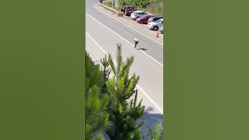 2022 vs 2023 No regrese; porque realmente nunca me fui... #inline #downhill #instagram #facebook