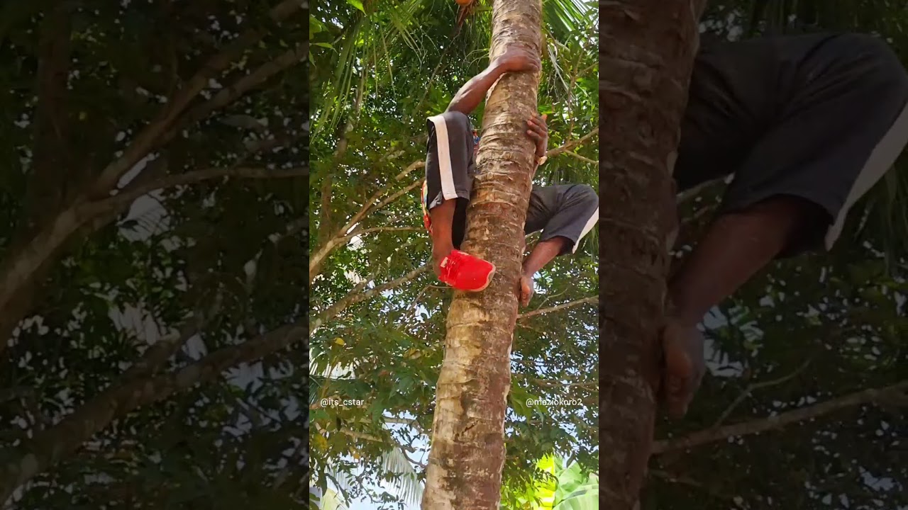 if Tom and Jerry was in Nigeria 