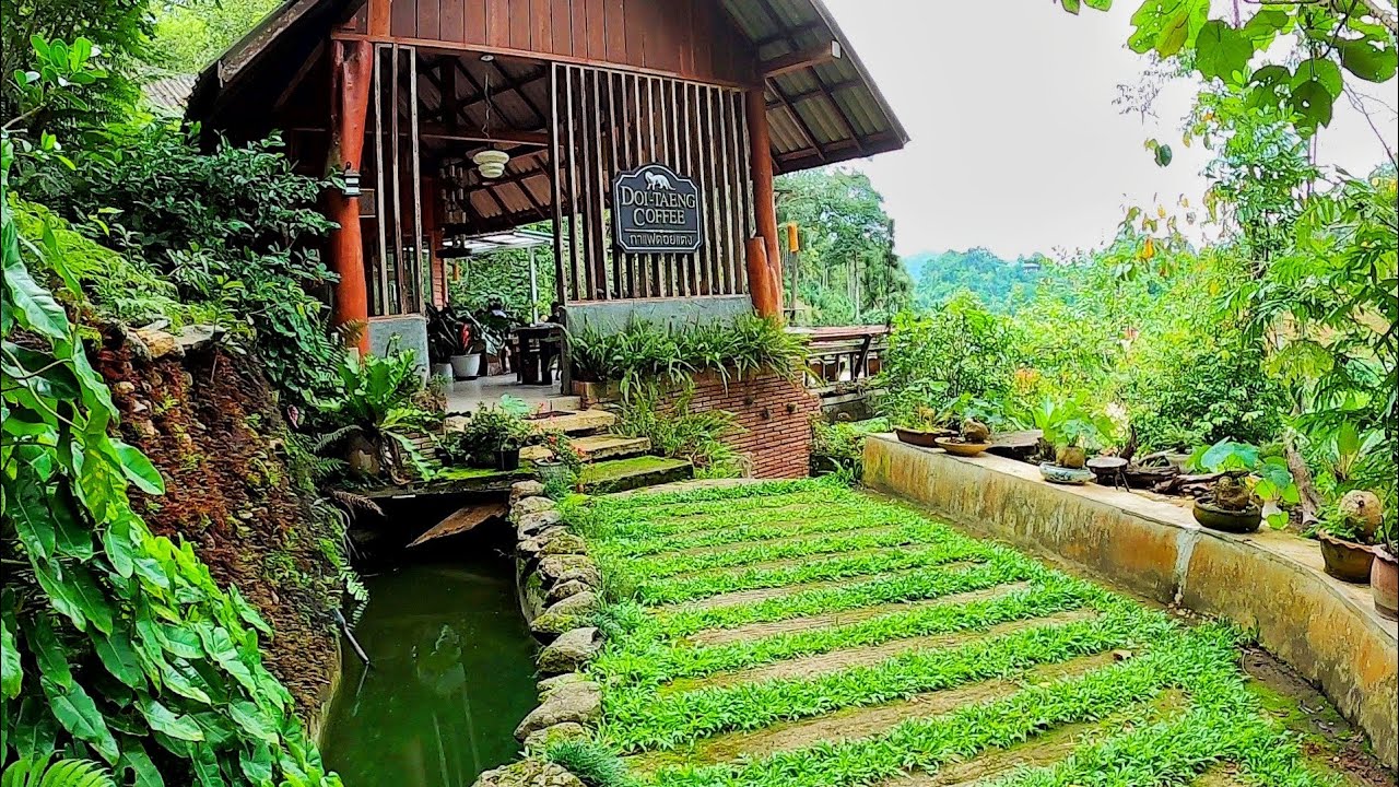 DOI-TAENG COFFEE ร้านกาแฟ ดอยแตง