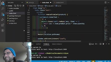 Building a SPA in a single HTML file in vanilla JavaScript: Chapter Thirteen - Cart/Theme Storage