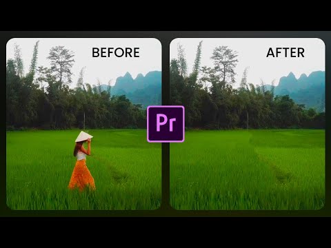 REMOVE moving Objects From VIDEO In Premiere Pro