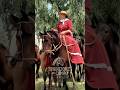 Tradición en Areco
