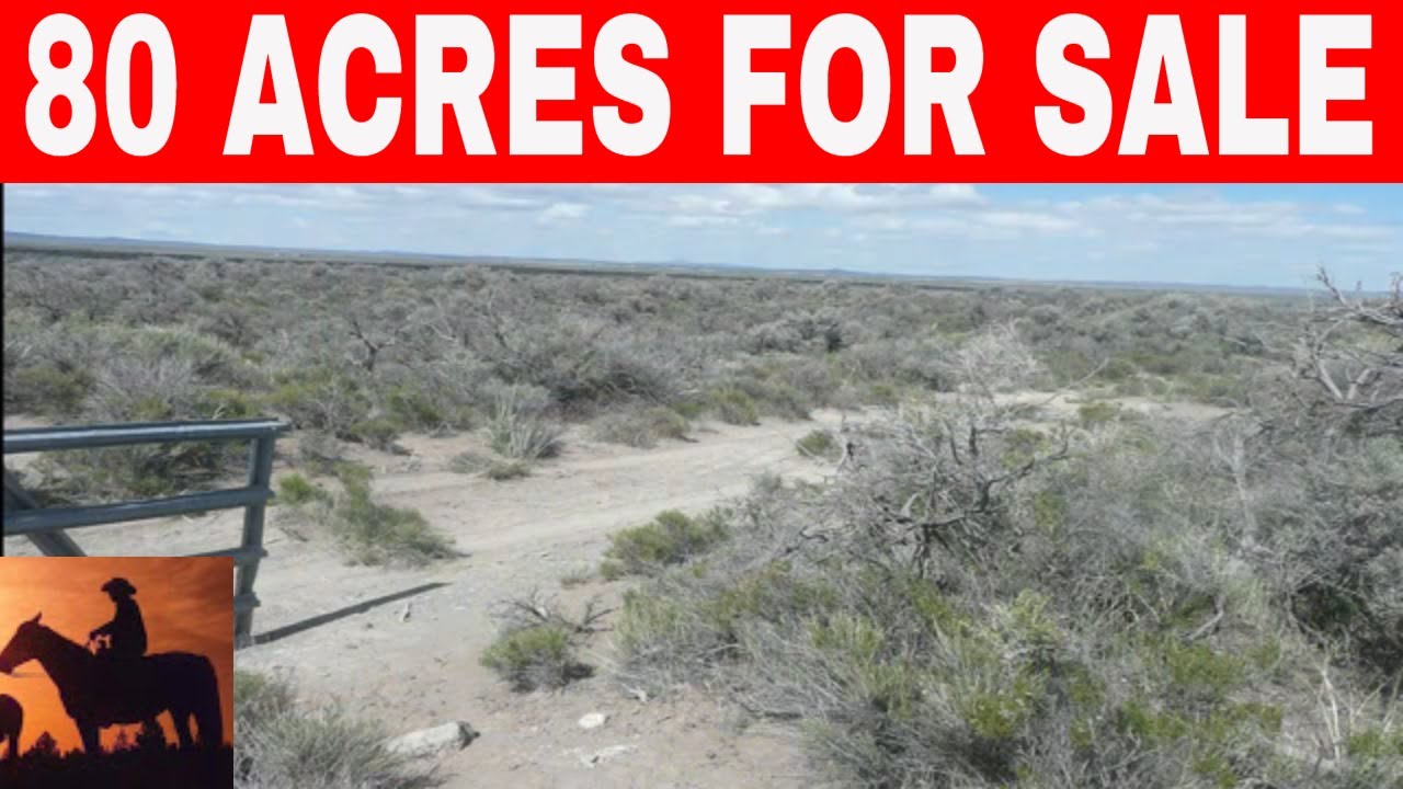 Oregon 80 Acres For Sale Owner Financing YouTube