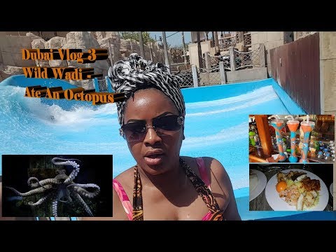 Dubai Vlog 3 – Wild Wadi – Octopus