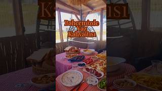 Sahil Evinde Kahvaltı🏡 Kuş Cıvıltıları Ve Deniz Kokusu Eşliğinde Huzur...🐦🏖 Resimi