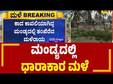 Mandya Rain: ಕೆರೆಯಂತಾದ ರಸ್ತೆಗಳು.. ಉಕ್ಕಿ ಹರಿಯುತ್ತಿರುವ ಚರಂಡಿಗಳು | PNS Vistaara News