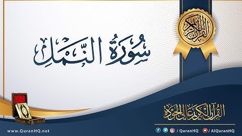 Surah An-Naml by Adel Al Kalbani | سورة النمل بصوت عادل الكلباني