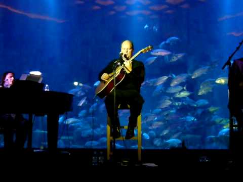 Christopher Cross - Does it feel like Christmas ? - live@CineAqua, Paris - 22 Dec'08