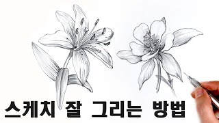 초보자를 위한 꽃 스케치 쉽게 그리는 방법 / How to draw a flower sketch for beginners