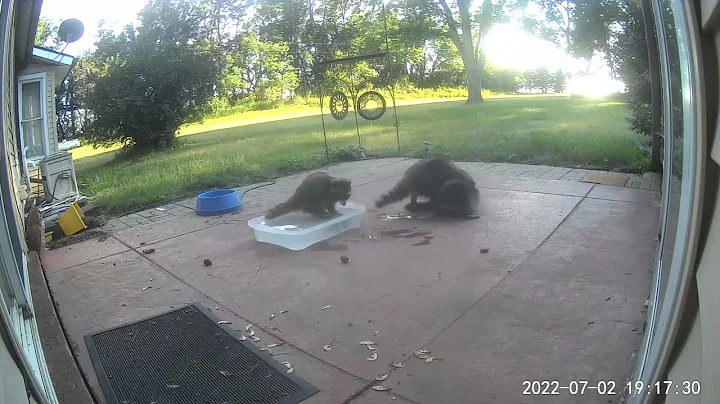 July 2 Trio on the patio