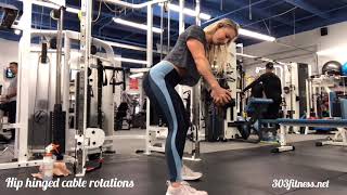 Hip hinged cable rotations