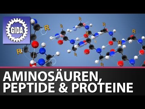 Trailer - Aminosäuren, Peptide und Proteine - Chemie - Schulfilm