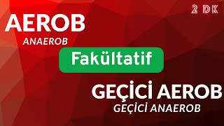 Aerob Anaerob Geçi̇ci̇ Aerob Geçi̇ci̇ Anaerob Fakültati̇f Canli Kavramlari Tyt Bi̇yoloji̇ Konu Anlatimi