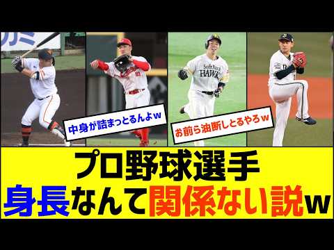 【事実】プロ野球選手、身長なんて関係ないw【なんJ なんG野球反応】【2ch 5ch】