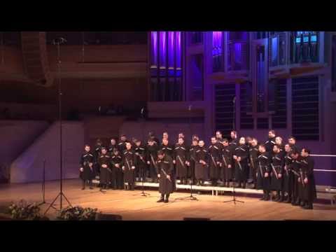 \"ხოხბის ყელივით ლამაზი\" - ზვიად მიჩილაშვილი