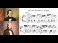 Schubert/Liszt - Auf dem wasser zu singen