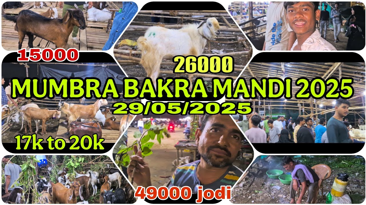 MUMBRA BAKRA MANDI MITTAL GROUND - SASTE ME QURBANI KE BAKRE 😍 29-05-2025
