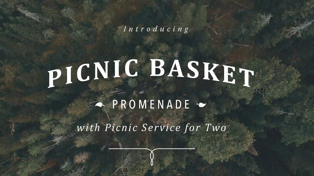 Picnic Time Promenade Picnic Basket