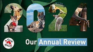 Together For Animals 2024 In Review Four Paws Subs