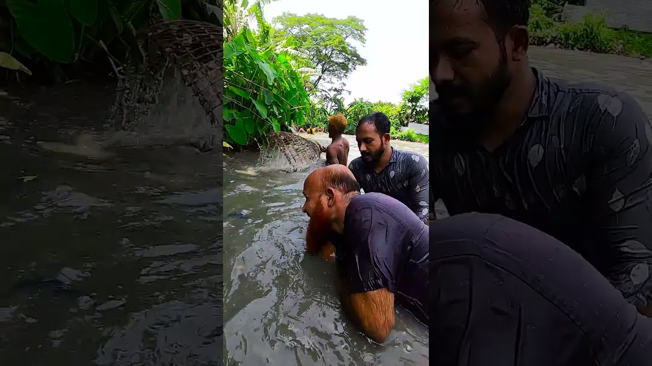 OMG! Big Monster Fish Caught By Hand. 