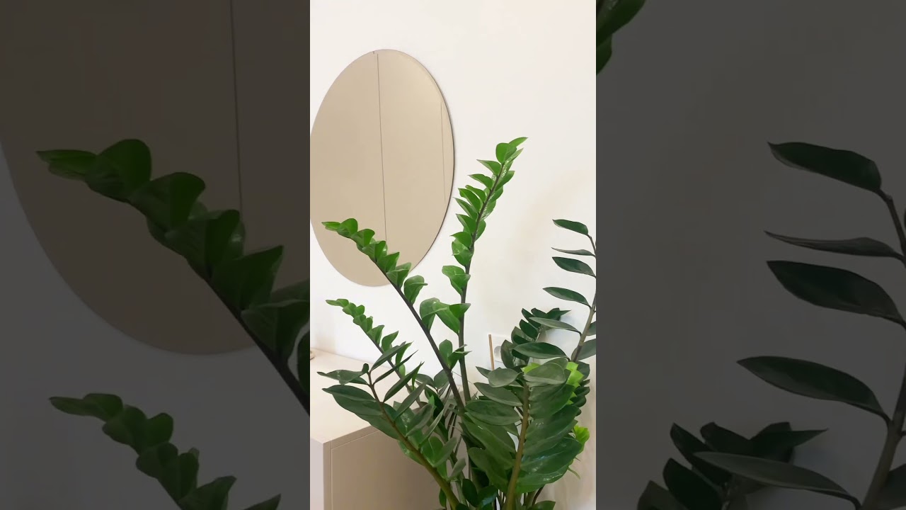 Ընդարձակ 4 սենյականոց 